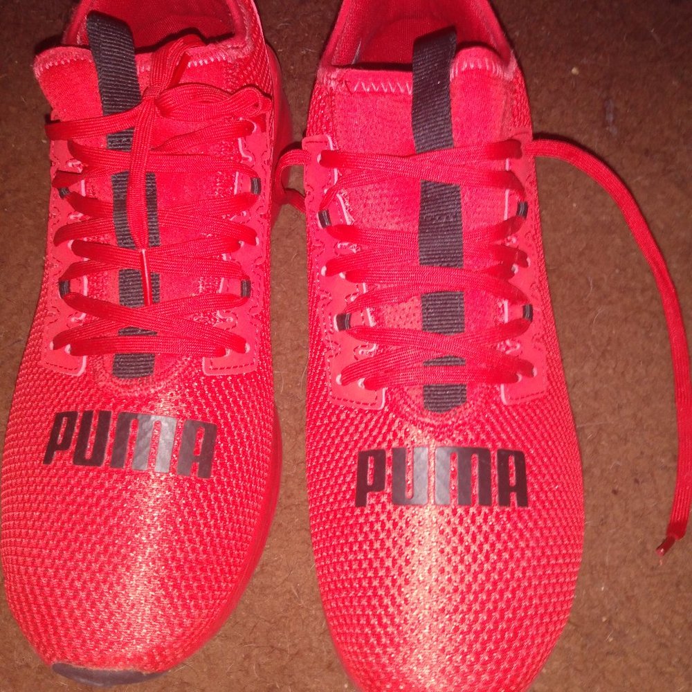 Puma